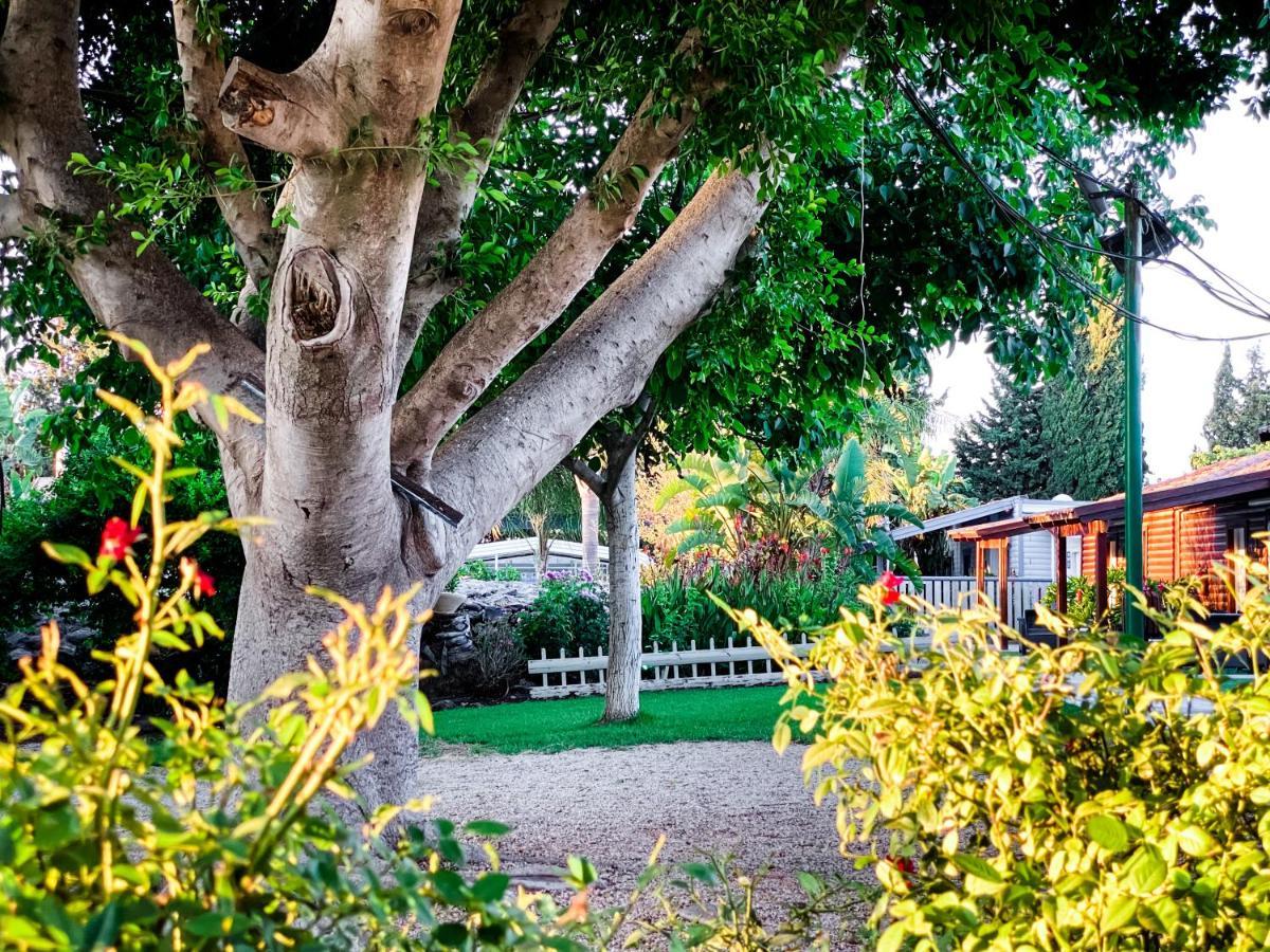 Hotel Etzel Tami Hospitality Neot Golan Exterior foto
